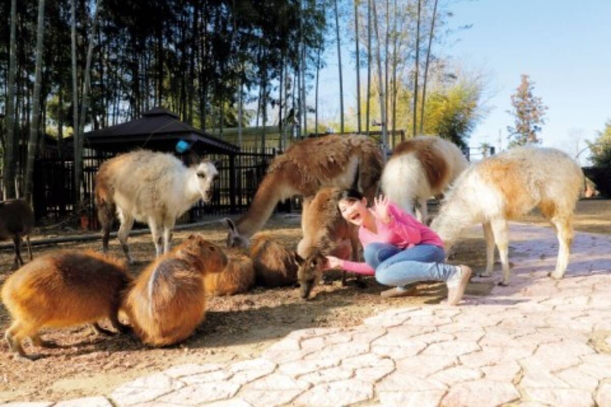 ほぼ放し飼い エサやり自由 何かとスゴ過ぎる動物園4選 関東 東北 17年5月30日 エキサイトニュース