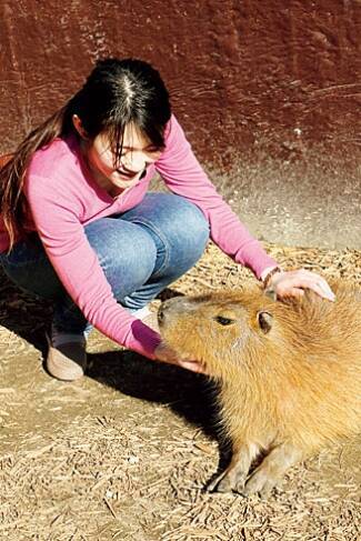 ほぼ放し飼い エサやり自由 何かとスゴ過ぎる動物園4選 関東 東北 17年5月30日 エキサイトニュース