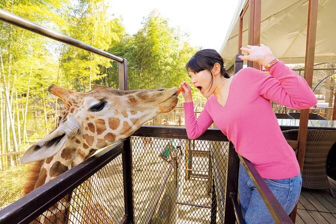 ほぼ放し飼い エサやり自由 何かとスゴ過ぎる動物園4選 関東 東北 17年5月30日 エキサイトニュース