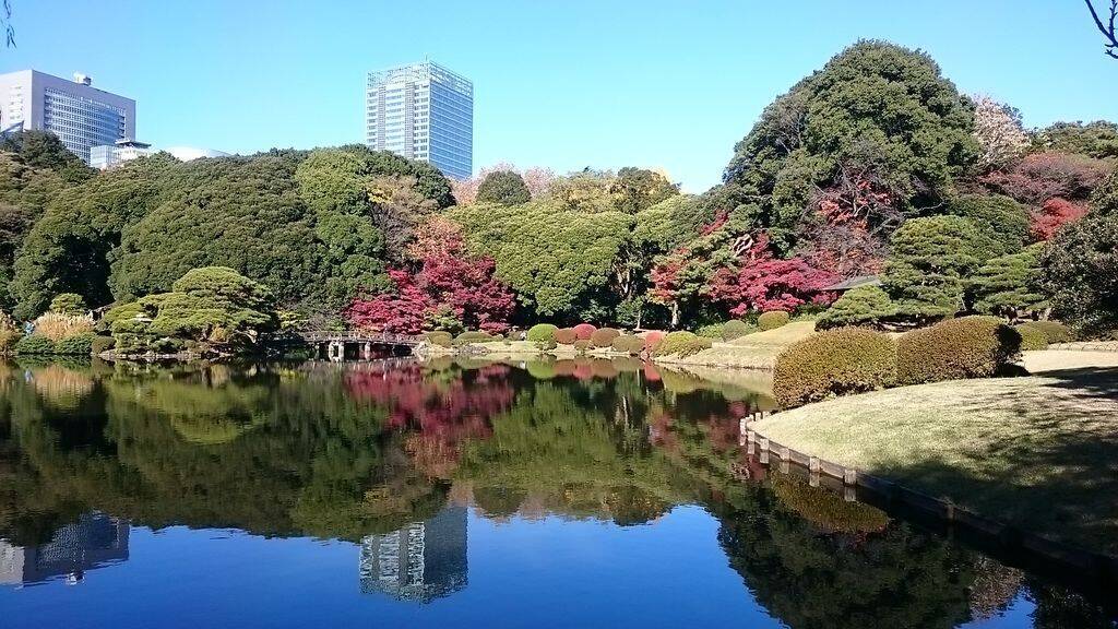 新宿 昼間 デート