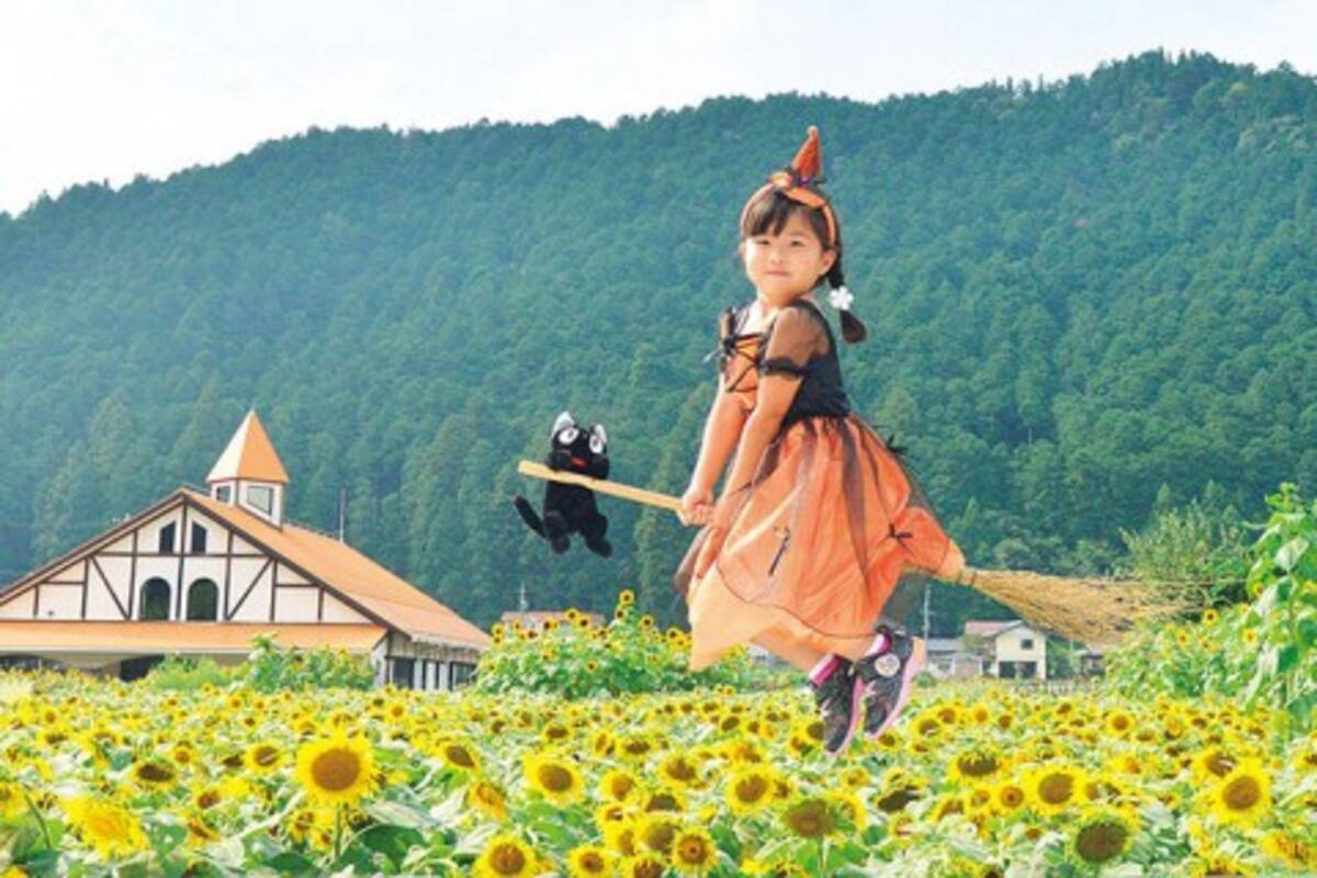 撮影スポット満載 インスタ映え抜群な 絶景ひまわり畑 6選 東海 北陸 17年6月25日 エキサイトニュース 3 4