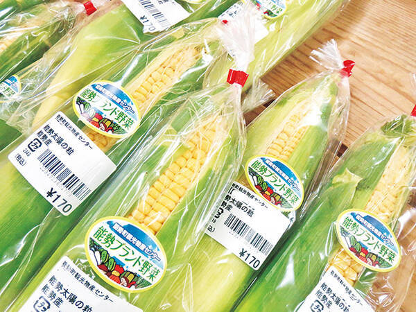 買わなきゃ損 わざわざ行きたい道の駅の爆売れ産直野菜まとめ 関西中国四国 17年6月29日 エキサイトニュース