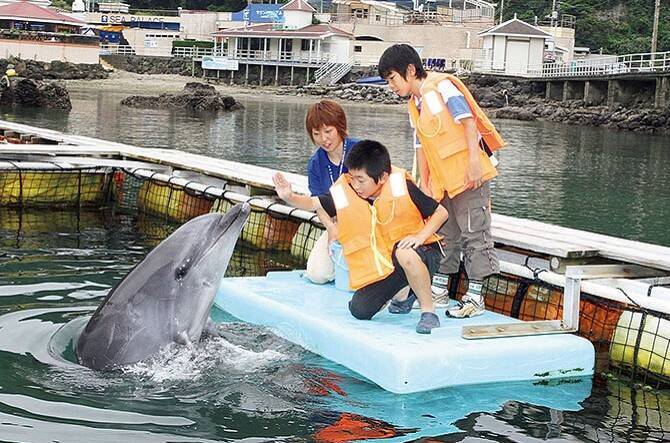 研究のヒント付き 伊豆で挑戦 夏休みのおすすめ自由研究スポット 静岡 17年7月16日 エキサイトニュース