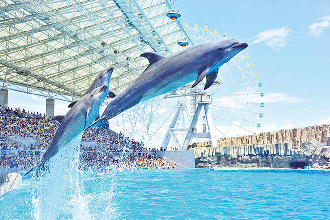 水族館deクールダウン 爽快びしょ濡れ体験で暑さを吹き飛ばそう 東海 17年7月10日 エキサイトニュース