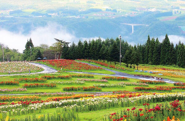 ゆり園 流しそうめんへ 涼しい郡上で夏限定の日帰りドライブ 岐阜 17年8月11日 エキサイトニュース