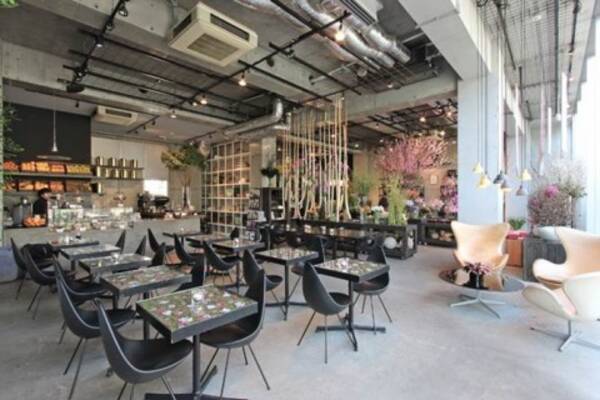 表参道カフェ 本当にオシャレで雰囲気のいい店10選 インスタ映えも 17年8月21日 エキサイトニュース 表参道カフェ 本当にオシャレで雰囲気のいい店10選 インスタ映えも 17年8月21日 エキサイトニュース