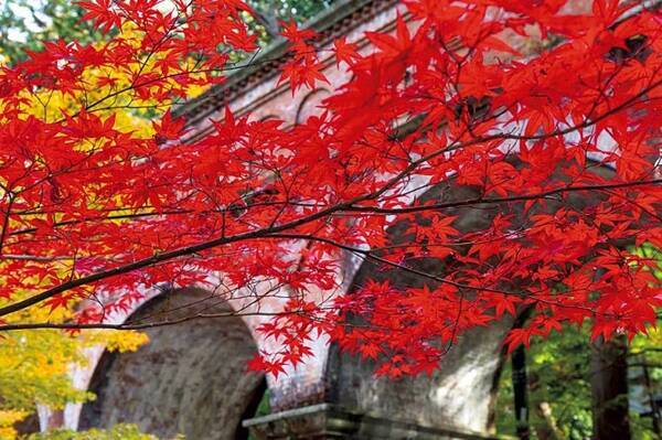 清水寺に南禅寺 京都 おすすめ紅葉絶景17 見頃情報も 17年9月19日 エキサイトニュース