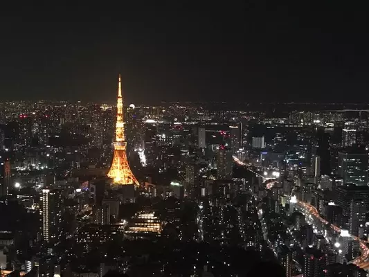 ロマンチックなデートに 東京夜景おすすめスポット15選 厳選版 17年6月24日 エキサイトニュース