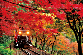 【2017】京都・嵐山の紅葉を巡る王道モデルコース！ライトアップや見頃情報も