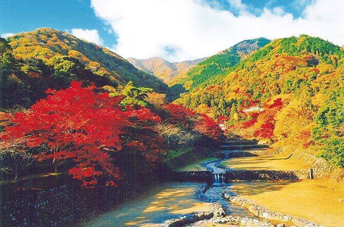 絶景紅葉に絶景温泉 グルメも 秋旅のおすすめスポット18選 岐阜 17年10月8日 エキサイトニュース