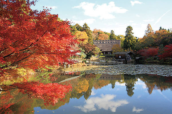 香嵐渓に名古屋市内も 絶景の紅葉名所見頃まとめ17 愛知 17年10月13日 エキサイトニュース