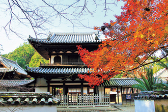 「阿波の法隆寺」で秋の風情を満喫も…。四国の穴場紅葉絶景と周辺情報14選