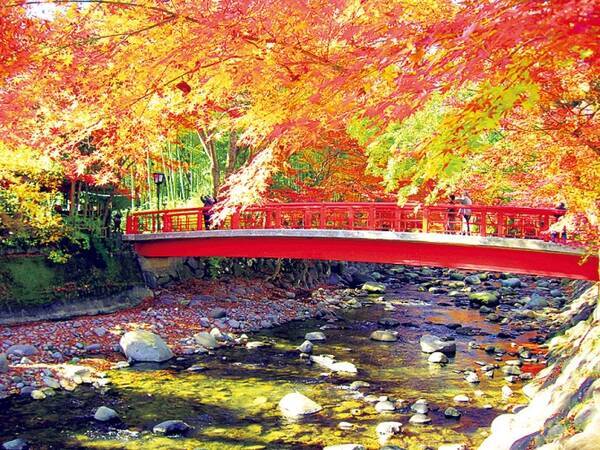 紅葉7名所の美しすぎる 絶景紅葉 17 関東近郊 穴場 見頃 狙い目時間も 17年10月23日 エキサイトニュース