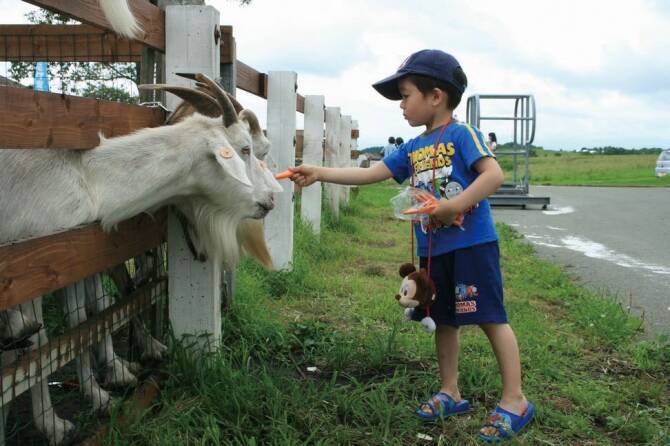 子連れのパラダイス 無料なのに1日遊べる充実公園14 熊本 17年10月30日 エキサイトニュース