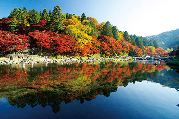 今が見頃の紅葉絶景を見逃すな おすすめ日帰り紅葉スポット15選 東海 17年11月7日 エキサイトニュース