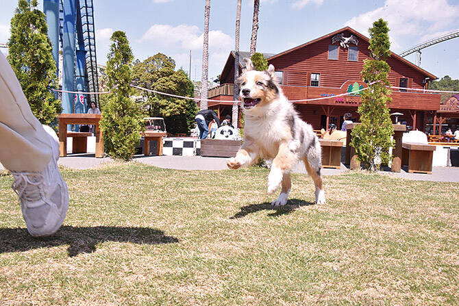 かわいい犬にさわりたい モフモフできるふれあいスポット4選 東海 17年12月16日 エキサイトニュース 3 4