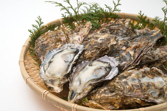 広島 牡蠣が美味しいおすすめ10店 食べ放題や牡蠣小屋で旬の味覚を楽しもう 19年1月28日 エキサイトニュース