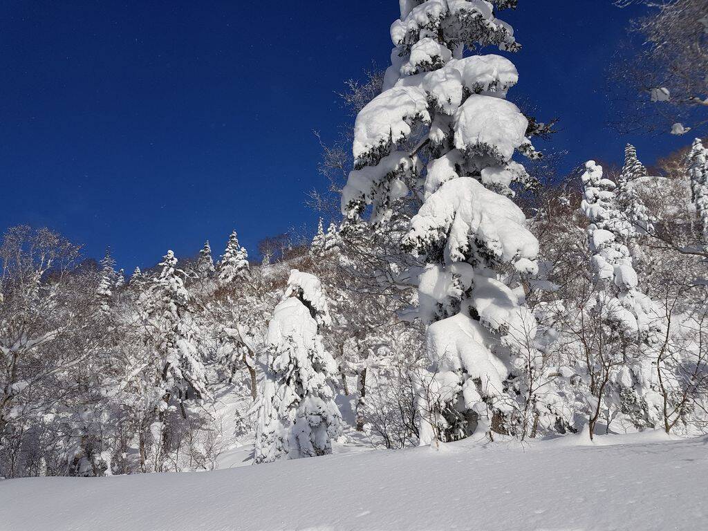 北海道 スノースポーツ 雪遊び体験10選 冬の北海道を遊びつくそう 19年2月18日 エキサイトニュース 5 7