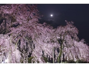 【2019】京都の夜桜スポット10選！ライトアップされた桜の下で花見を楽しもう