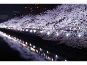 【2019】東京の夜桜スポット10選！ライトアップされた桜の下で花見を楽しもう