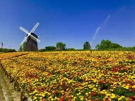 大阪 19年ゴールデンウィークイベント10選 肉や餃子のグルメフェスも 19年4月12日 エキサイトニュース