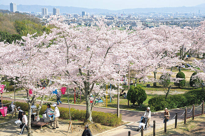 19 関西 桜絶景 おすすめ30選 名所から穴場 開花時期 見頃 混雑情報も 19年3月8日 エキサイトニュース 15 19