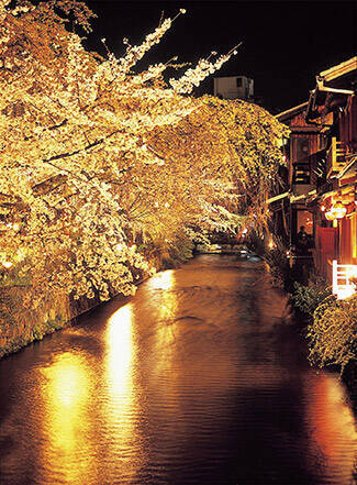 夜桜デートに ライトアップがおすすめの 花見名所 10選 関西 中国 四国 19年3月8日 エキサイトニュース 2 7 夜桜デートに ライトアップがおすすめの 花見名所 10選 関西 中国 四国 19年3月8日 エキサイトニュース 2 7