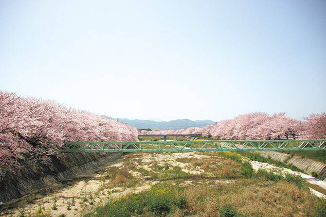 19 中国 四国 桜絶景 おすすめ23選 名所から穴場 開花時期 見頃 混雑情報も 19年3月10日 エキサイトニュース 15 15