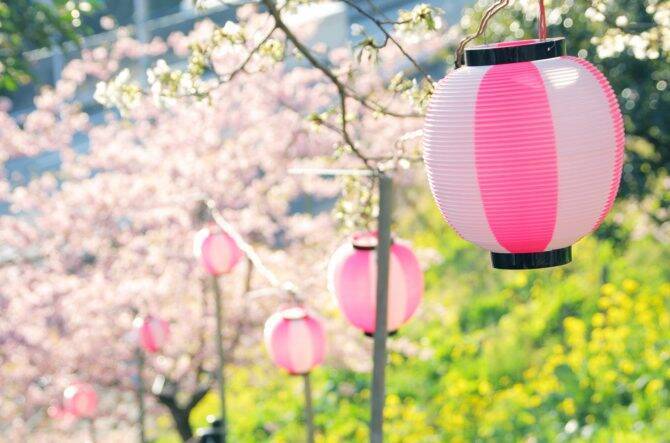 関東 19年桜まつり 花見イベント14選 おすすめの桜名所 見頃情報も 19年3月11日 エキサイトニュース