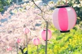【関東】2019年桜まつり＆花見イベント14選！おすすめの桜名所、見頃情報も