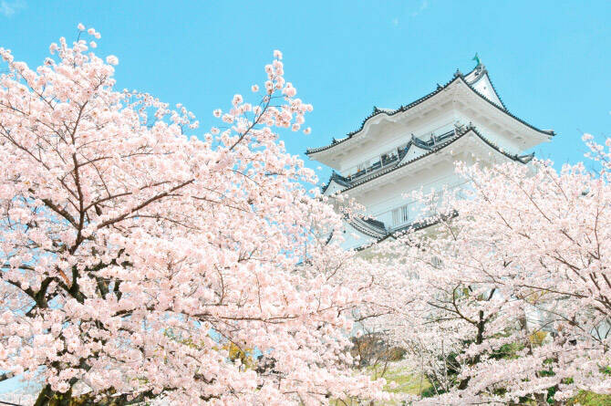 桜名所 小田原城 でお花見と城下町を満喫 19年見頃やイベント情報あり 神奈川 19年3月13日 エキサイトニュース
