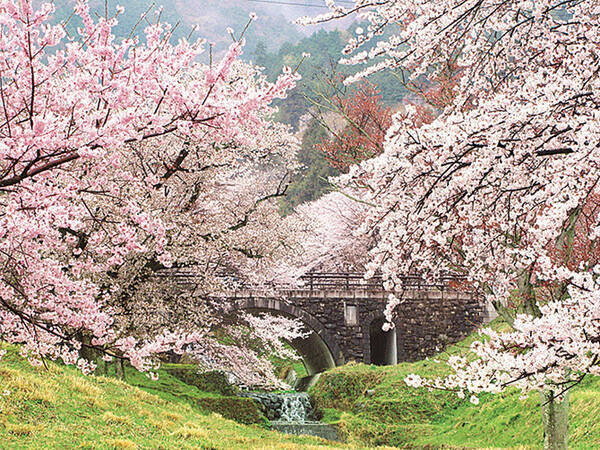 19 東海の 桜絶景 33選 名所や見頃 グルメ ライトアップ情報も 19年3月14日 エキサイトニュース