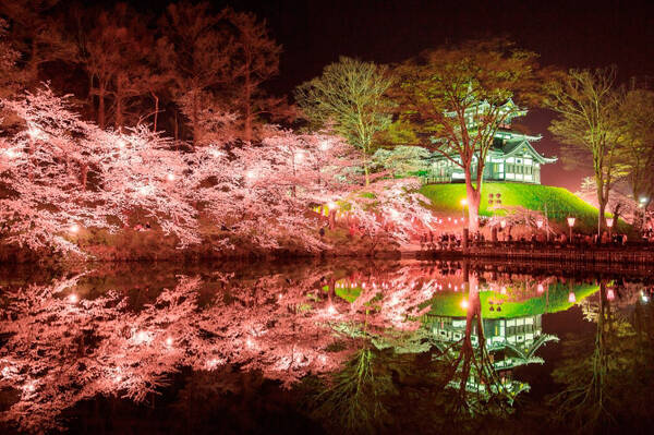 関東近郊 夜桜が楽しめる ライトアップお花見スポット33選 19 19年3月15日 エキサイトニュース
