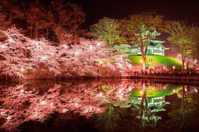 関東近郊 夜桜が楽しめる ライトアップお花見スポット33選 19 19年3月15日 エキサイトニュース