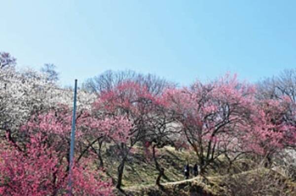 関東近郊 コスパのいい お出かけスポット イベント 37選 春休みにおすすめ 19年3月19日 エキサイトニュース