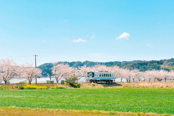 東海 春の 絶景 観光スポット19選 デートにもオススメ 19 19年3月23日 エキサイトニュース 9 12