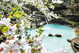 関東近郊の「花見露天風呂」がある日帰り温泉７選！春の桜絶景は湯けむり越しに