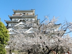 【2019】広島で桜が楽しめるスポット10選！お花見に出かけよう♪