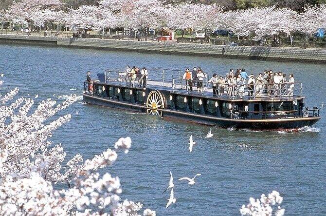 クルーズ船で優雅にお花見 大阪城や中之島の絶景 桜名所 を観賞しよう 19年3月12日 エキサイトニュース