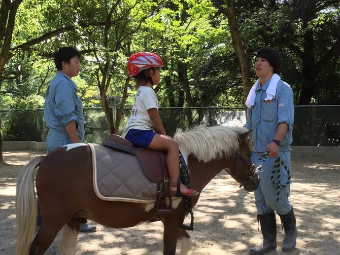 大阪 子どもが喜ぶ公園おすすめ17選 遊具に動物ふれあいなど遊び場たくさん 19年4月12日 エキサイトニュース