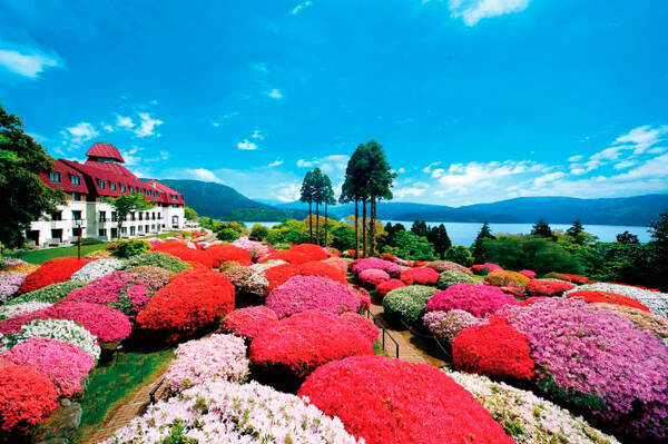 関東近郊 春の 花絶景 おすすめ43選 芝桜 つつじ 藤が今見頃 19gwにも 19年4月9日 エキサイトニュース