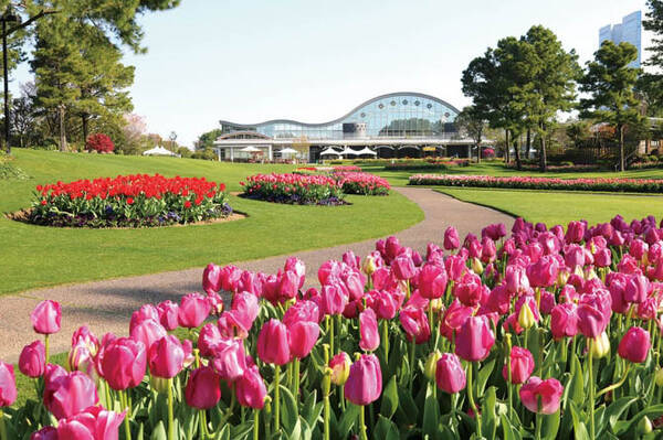 19 九州の花絶景イベント19選 バラ 藤棚もゴールデンウィークが見頃 19年4月13日 エキサイトニュース