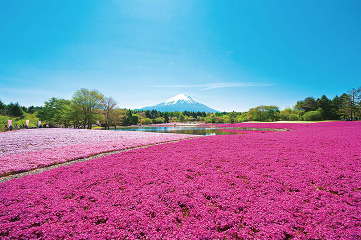 春の絶景 お花畑 12選 東海 ゴールデンウィークの日帰りデートにもオススメ 19年4月18日 エキサイトニュース