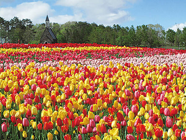 春の絶景 お花畑 12選 東海 ゴールデンウィークの日帰りデートにもオススメ 19年4月18日 エキサイトニュース
