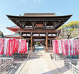 名古屋近郊 春の日帰りドライブコース8選 デートや観光におすすめ 19年4月日 エキサイトニュース