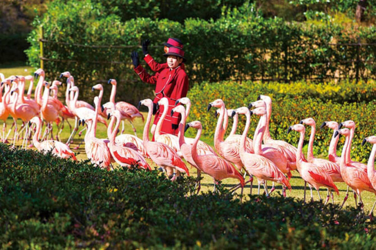 九州 おすすめテーマパーク 遊園地 動物園 水族館まとめ26選 19 19年5月5日 エキサイトニュース