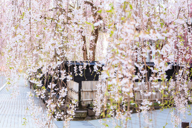 東北 一度は見たい 絶景 17選 春夏秋冬 四季折々の美しい景色が心を揺さぶる 19年5月1日 エキサイトニュース