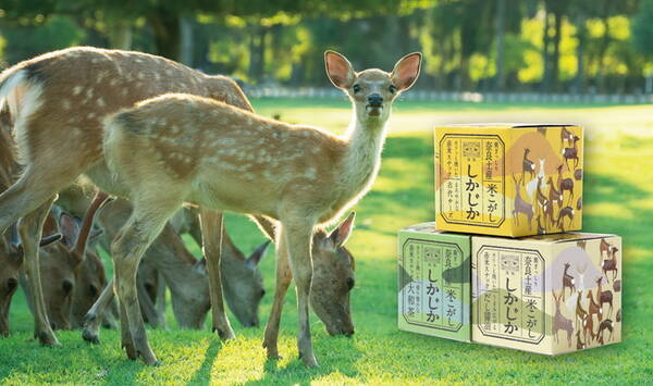 鹿がぎっしりのお菓子 かわいすぎる奈良土産 しかじか が誕生 19年4月27日 エキサイトニュース 鹿がぎっしりのお菓子 かわいすぎる奈良土産 しかじか が誕生 19年4月27日 エキサイトニュース