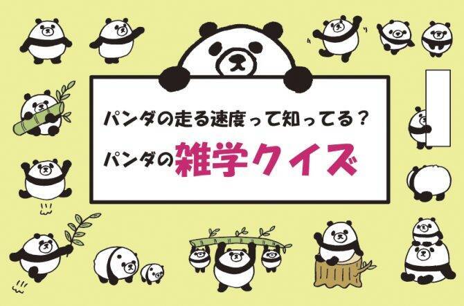 常識 パンダ好きなら絶対わかる パンダ雑学クイズ 19年6月2日 エキサイトニュース