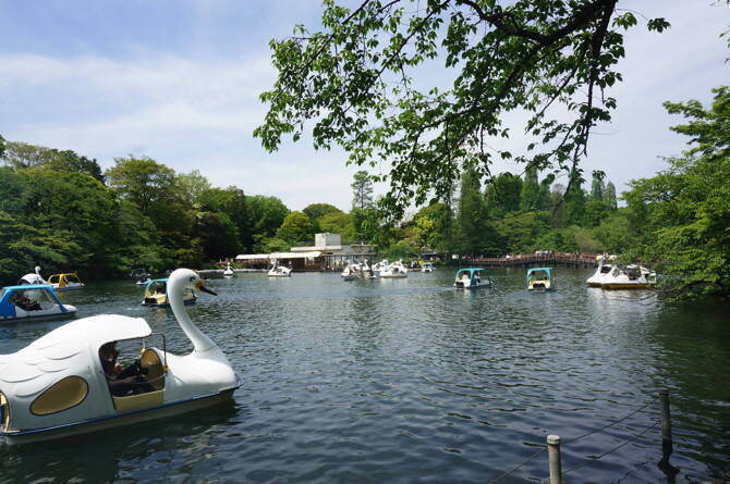 吉祥寺デートに 地元民が教える定番 穴場デートスポット17選 19年5月27日 エキサイトニュース 吉祥寺デートに 地元民が教える定番 穴場デートスポット17選 19年5月27日 エキサイトニュース